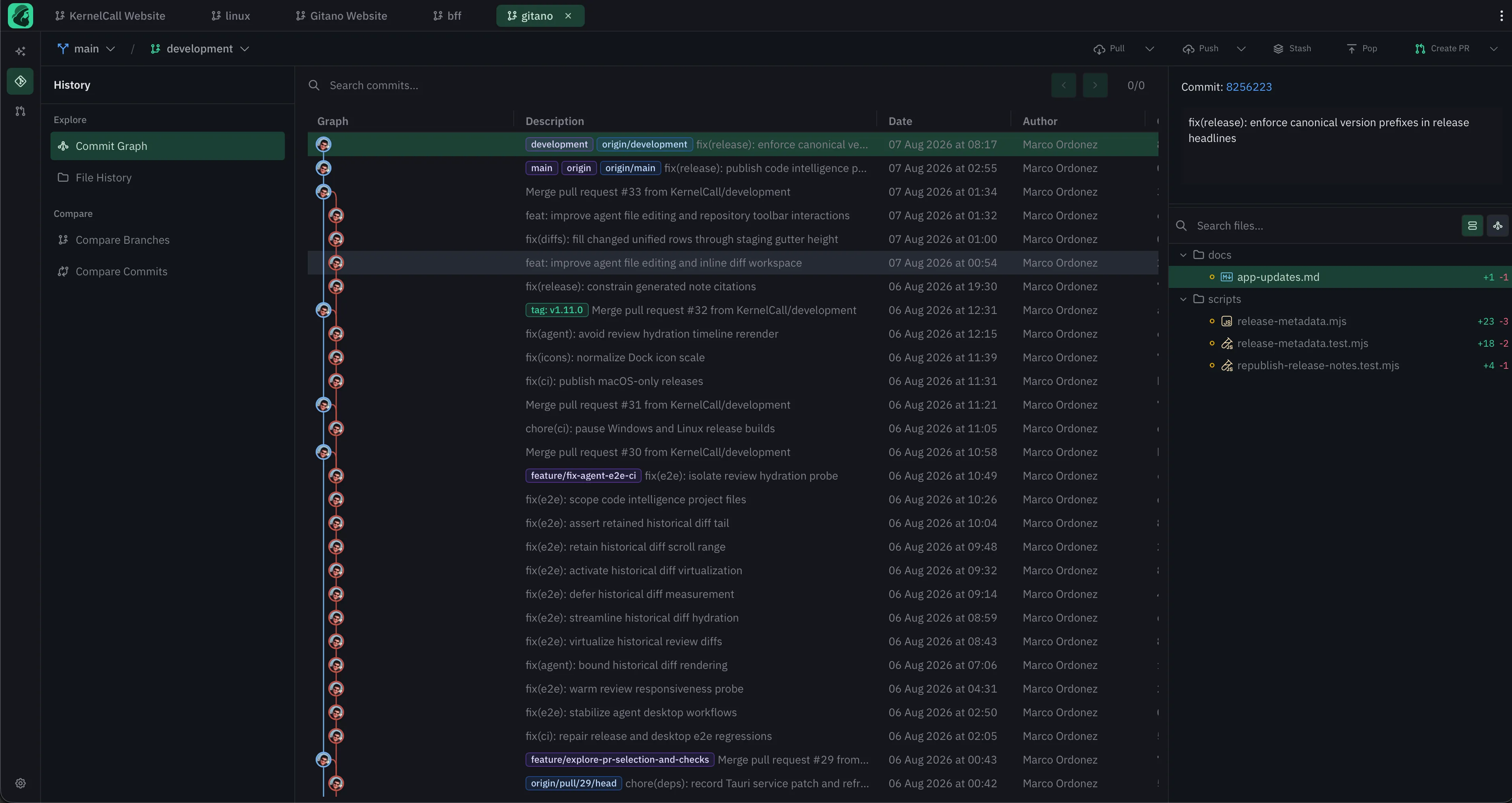 Maser commit graph showing branches, commits, authors, changed files, repository actions, and workspace context.